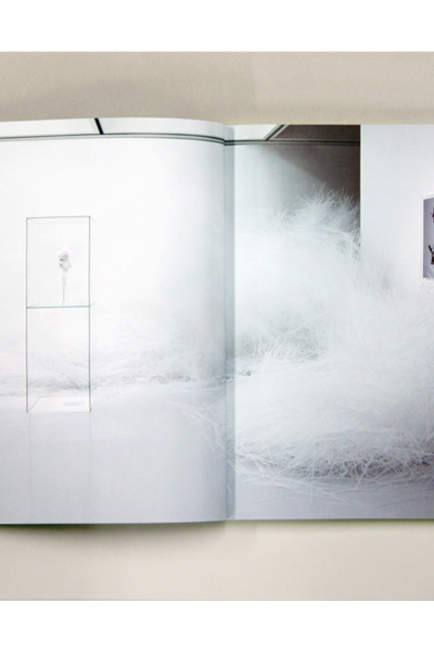 14ss118bookb8