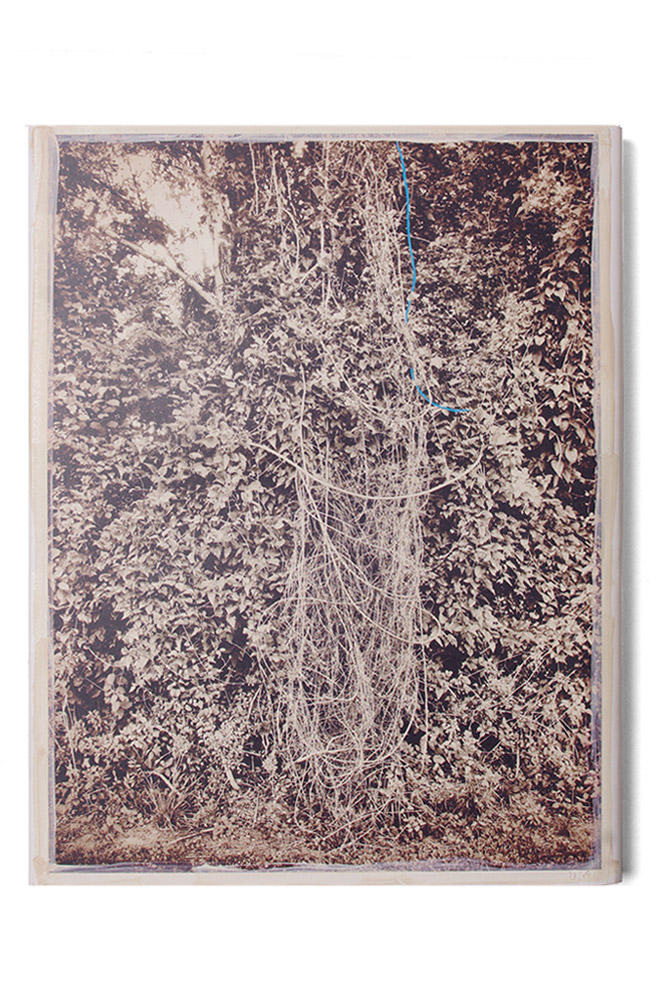 flotsambook114_e2
