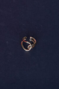 ◇SAMPLE SALE 20%OFF◇【P.P.A】Ring /Gold #s_3 | Sister